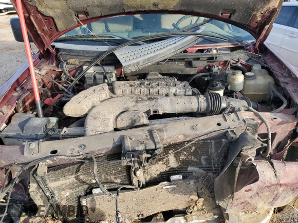 2004 Ford F-150 XLT with VIN 1FTPX14584NB59573, listed as a Copart auction lot 41662385 with Not provided miles and Salvage title. Bid and sale history available at DreamBid. Image 11.