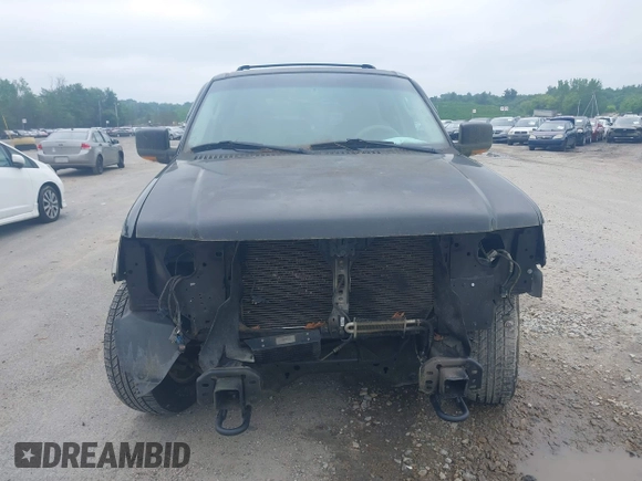 2004 Ford Expedition Eddie Bauer with VIN 1FMPU18L74LB71111, listed as a IAAI auction lot 42437512 with 178,818 mi miles and . Bid and sale history available at DreamBid. Image 6.