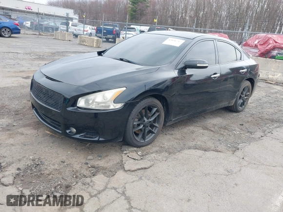 2010 Nissan Maxima 3.5 S with VIN 1N4AA5AP5AC849590, listed as a IAAI auction lot 42036717 with 1 mi miles. Bid and sale history available at carsss.com. Image 2.