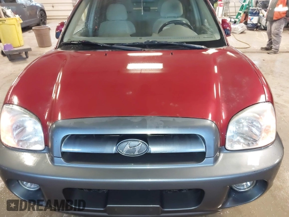 2005 Hyundai Santa Fe GLS with VIN KM8SC13D45U968781, listed as a IAAI auction lot 41736801 with 182,976 mi miles. Bid and sale history available at carsss.com. Image 6.