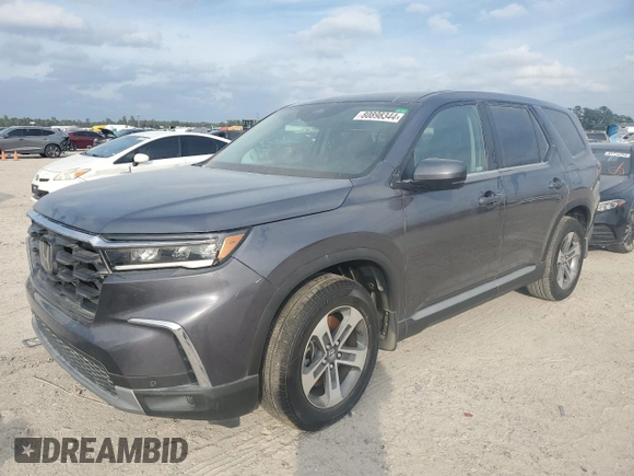 2024 Honda Pilot EX-L 8 Passenger with VIN 5FNYG1H40RB041111, listed as a Copart auction lot 80898344 with 12,715 mi miles and Non Repairable. Bid and sale history available at carsss.com. Image 1.