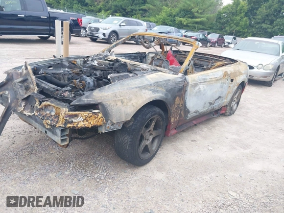 1999 Ford Mustang with VIN 1FAFP4448XF115520, listed as a IAAI auction lot 42602755 with Not provided miles and . Bid and sale history available at DreamBid. Image 2.