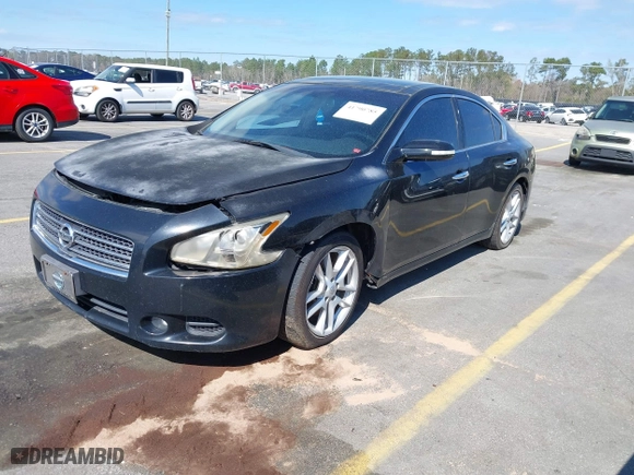 2010 Nissan Maxima 3.5 SV w/Premium Pkg with VIN 1N4AA5AP7AC864706, listed as a IAAI auction lot 41790785 with 199,205 mi miles. Bid and sale history available at carsss.com. Image 2.