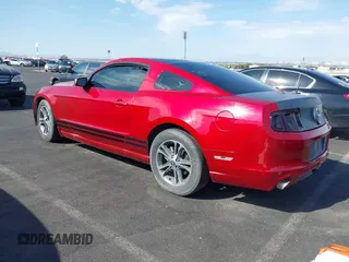 2013 Ford Mustang V6 with VIN 1ZVBP8AM1D5246288, listed as a IAAI auction lot 42024934 with 141,791 mi miles. Bid and sale history available at carsss.com. Image 3.