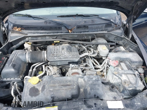 2004 Dodge Dakota Sport with VIN 1D7HL38N94S538692, listed as a IAAI auction lot 41843739 with 198,719 mi miles. Bid and sale history available at carsss.com. Image 10.