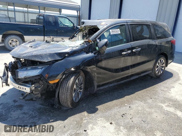 2022 Honda Odyssey EX-L with VIN 5FNRL6H75NB003651, listed as a Copart auction lot 53328205 with Not Provided miles and Non Repairable. Bid and sale history available at DreamBid. Image 1.