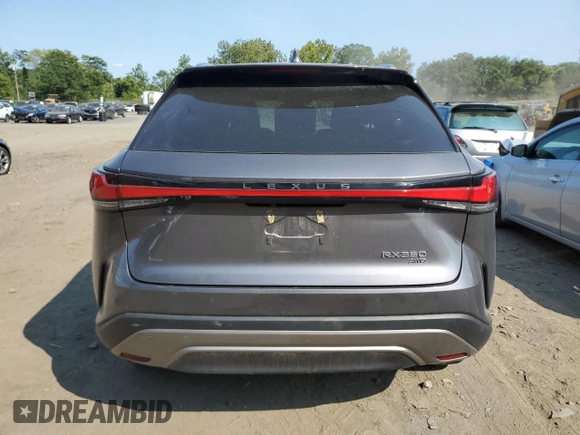 2023 Lexus RX with VIN 2T2BAMCA7PC023210, listed as a Copart auction lot 68505134 with Not Provided miles and Salvage Title. Bid and sale history available at carsss.com. Image 6.