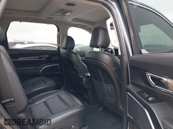2020 Kia Telluride SX with VIN 5XYP5DHC9LG028738, listed as a IAAI auction lot 41577464 with 123,455 mi miles and . Bid and sale history available at DreamBid. Image 8.