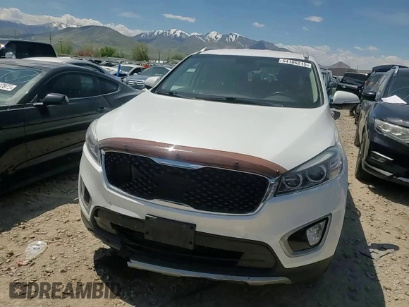 2017 Kia Sorento EX with VIN 5XYPHDA57HG321810, listed as a Copart auction lot 54106215 with 121,948 mi miles and Salvage title. Bid and sale history available at DreamBid. Image 13.