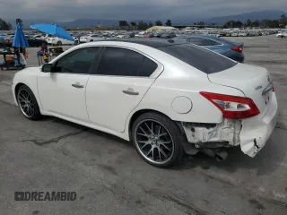 2009 Nissan Maxima SV with VIN 1N4AA51E69C809139, listed as a Copart auction lot 53791545 with 141,482 mi miles and Salvage Title. Bid and sale history available at DreamBid. Image 2.