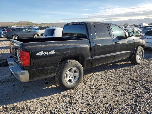 2005 Dodge Dakota SLT with VIN 1D7HW48N95S309900, listed as a Copart auction lot 49467875 with 161,194 mi miles and Salvage Title. Bid and sale history available at carsss.com. Image 3.