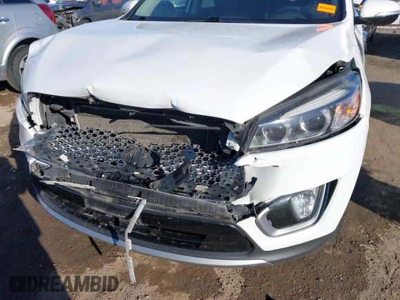 2017 Kia Sorento EX V6 with VIN 5XYPH4A56HG222220, listed as a IAAI auction lot 41330218 with 189,235 mi miles. Bid and sale history available at carsss.com. Image 6.
