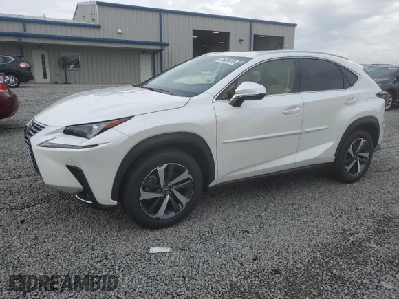 2020 Lexus NX 300 with VIN JTJGARDZ0L2218308, listed as a Copart auction lot 51863955 with 44,156 mi miles and Salvage Title. Bid and sale history available at DreamBid. Image 1.