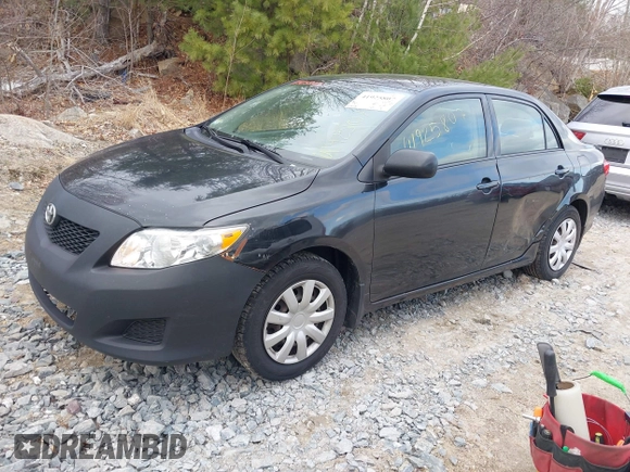 2009 Toyota Corolla with VIN JTDBL40E999082290, listed as a IAAI auction lot 41925807 with 1 mi miles. Bid and sale history available at carsss.com. Image 2.