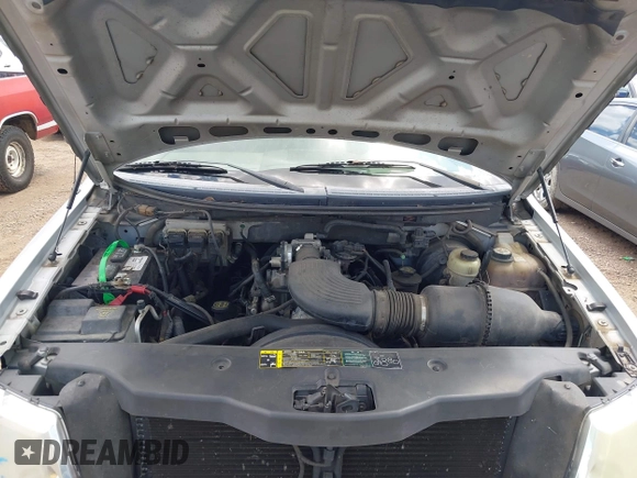2004 Ford F-150 XL with VIN 1FTRF12W64NC48811, listed as a IAAI auction lot 42684982 with 291,031 mi miles and . Bid and sale history available at DreamBid. Image 10.