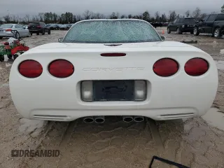 2002 Chevrolet Corvette with VIN 1G1YY22G625116965, listed as a Copart auction lot 44992355 with 136,446 mi miles and Salvage Title. Bid and sale history available at carsss.com. Image 6.