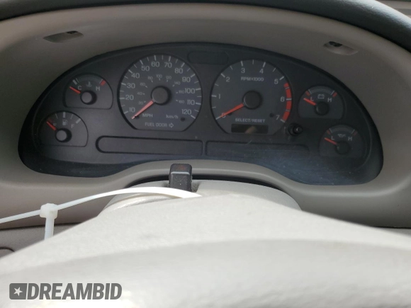 2004 Ford Mustang Standard with VIN 1FAFP40404F110233, listed as a Copart auction lot 51495425 with 0 mi miles and Salvage Title. Bid and sale history available at carsss.com. Image 9.