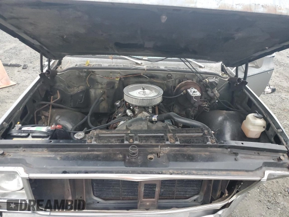 1977 GMC Sierra 1500 with VIN TCL4471504040, listed as a Copart auction lot 81852484 with Not Provided miles and Salvage Title. Bid and sale history available at DreamBid. Image 11.