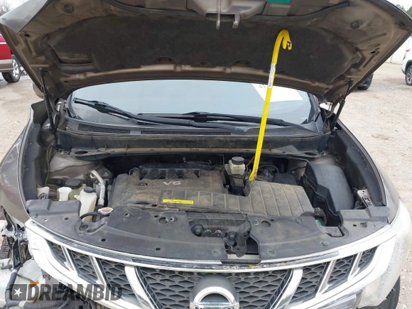 2013 Nissan Murano LE with VIN JN8AZ1MU5DW208783, listed as a IAAI auction lot 41757565 with 191,633 mi miles and . Bid and sale history available at DreamBid. Image 10.