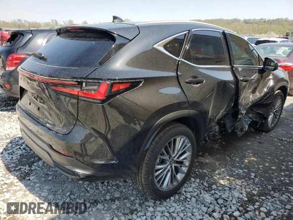 2025 Lexus NX 350 Premium with VIN 2T2GGCEZ1SC073837, listed as a Copart auction lot 53096925 with 304 mi miles and Salvage title. Bid and sale history available at DreamBid. Image 3.