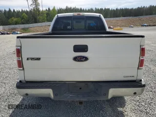 2010 Ford F-150 XL z VIN 1FTEX1E80AFB13709, wystawiony jako Copart lot #53610845 z przebiegiem 340 542 mil mil oraz Szkoda całkowita • Salvage title. Historia ofert i sprzedaży dostępna na DreamBid. Obrazek 6.