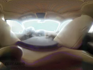 2010 Mercury Mountaineer Premier с VIN 4M2EN3JE0AUJ07556, выставлен на аукционе IAAI как лот 42390138 с пробегом 204 406 миль миль и . История ставок и продаж доступна на DreamBid. Изображение 18.