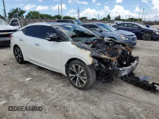2017 Nissan Maxima SV with VIN 1N4AA6AP8HC436045, listed as a Copart auction lot 55585533 with Not Provided miles and Non Repairable. Bid and sale history available at carsss.com. Image 4.