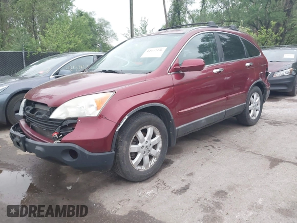 2009 Honda CR-V EX-L with VIN 5J6RE48739L048311, listed as a IAAI auction lot 42122356 with 275,649 mi miles and . Bid and sale history available at carsss.com. Image 17.