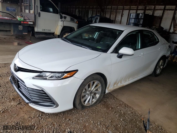 2024 Toyota Camry LE with VIN 4T1C11AK3RU219374, listed as a Copart auction lot 53570605 with 19,747 mi miles and Clean Title. Bid and sale history available at carsss.com. Image 1.