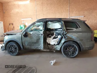 2024 Kia Telluride EX X-Line z VIN 5XYP3DGC6RG485412, wystawiony jako IAAI lot #41352835 z przebiegiem 19 613 mil mil oraz . Historia ofert i sprzedaży dostępna na DreamBid. Obrazek 15.