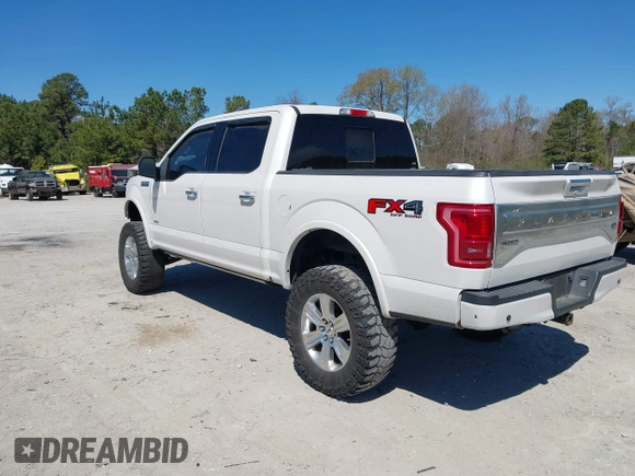 2017 Ford F-150 XL with VIN 1FTEW1EG2HFC42507, listed as a IAAI auction lot 41880756 with 145,889 mi miles. Bid and sale history available at carsss.com. Image 3.