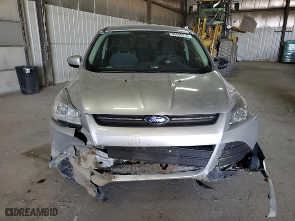 2014 Ford Escape SE with VIN 1FMCU0GX4EUC84815, listed as a Copart auction lot 50446215 with 99,491 mi miles and Salvage Title. Bid and sale history available at carsss.com. Image 5.