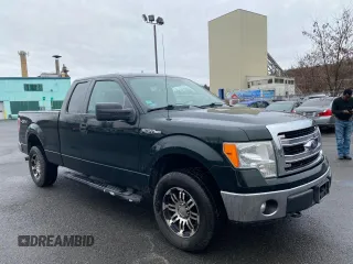 2013 Ford F-150 XL with VIN 1FTFX1EF5DKF06491, listed as a Copart auction lot 53860845 with 265,813 mi miles and Clean Title. Bid and sale history available at carsss.com. Image 1.