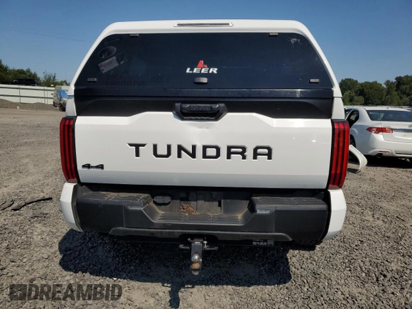 2022 Toyota Tundra SR with VIN 5TFKB5DB1NX014807, listed as a Copart auction lot 61888704 with 48,584 mi miles and Salvage title. Bid and sale history available at DreamBid. Image 6.