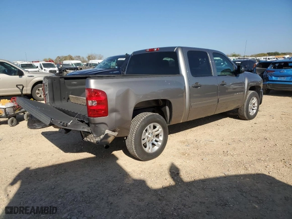 2009 Chevrolet Silverado 1500 LS with VIN 3GCEC13C59G226181, listed as a Copart auction lot 86012874 with 223,162 mi miles and Salvage Title. Bid and sale history available at carsss.com. Image 3.