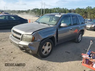 2009 Chevrolet TrailBlazer 1LT with VIN 1GNDS33S292131921, listed as a Copart auction lot 82094284 with 169,762 mi miles and Salvage Title. Bid and sale history available at DreamBid. Image 1.