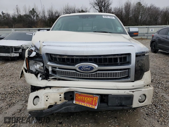 2009 Ford F-150 XL with VIN 1FTPW12V79FA36743, listed as a Copart auction lot 85821924 with 165,321 mi miles and Salvage Title. Bid and sale history available at carsss.com. Image 5.