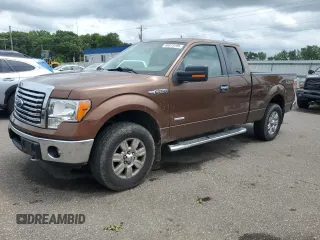 2012 Ford F-150 XL with VIN 1FTFX1ET3CFC58433, listed as a Copart auction lot 60319195 with 114,046 mi miles and Salvage title. Bid and sale history available at DreamBid. Image 1.