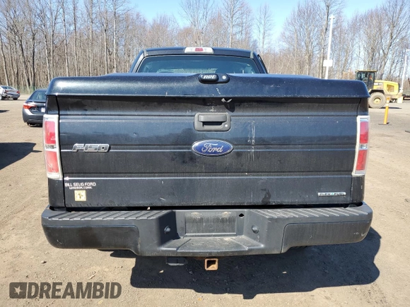 2014 Ford F-150 XL with VIN 1FTFX1EF1EFA81359, listed as a Copart auction lot 53727195 with 199,059 mi miles and Salvage Title. Bid and sale history available at DreamBid. Image 6.