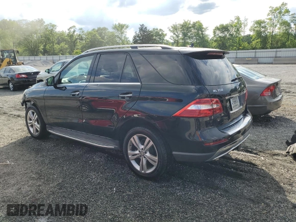2015 Mercedes-Benz M 350 with VIN 4JGDA5JB1FA550043, listed as a Copart auction lot 54179235 with 187,840 mi miles and Salvage title. Bid and sale history available at DreamBid. Image 2.