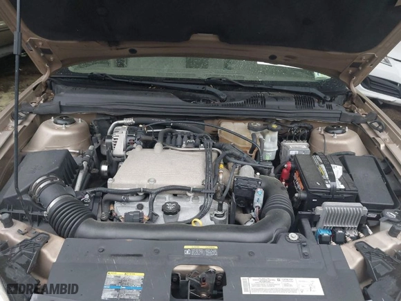2005 Chevrolet Malibu LS with VIN 1G1ZT54845F144885, listed as a IAAI auction lot 41932412 with 115,461 mi miles. Bid and sale history available at carsss.com. Image 10.