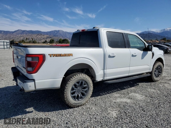2022 Ford F-150 XL with VIN 1FTEW1E87NFA71998, listed as a Copart auction lot 49880045 with 0 mi miles and Salvage Title. Bid and sale history available at carsss.com. Image 3.