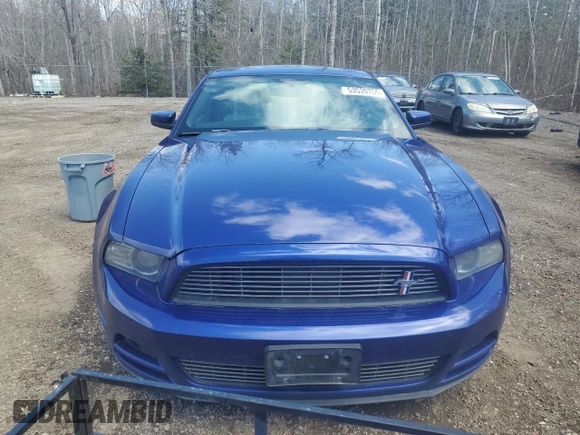 2014 Ford Mustang V6 with VIN 1ZVBP8AM9E5317478, listed as a Copart auction lot 53539755 with 305,642 mi miles and Salvage Title. Bid and sale history available at carsss.com. Image 5.