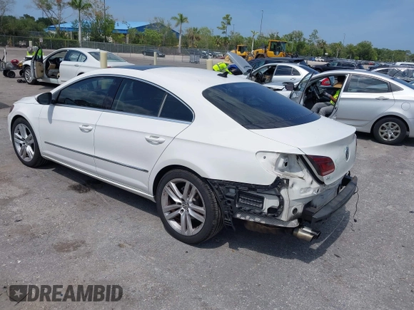 2014 Volkswagen CC Executive z VIN WVWRP7AN7EE537318, wystawiony jako IAAI lot #42308532 z przebiegiem 217 059 mil mil oraz . Historia ofert i sprzedaży dostępna na DreamBid. Obrazek 3.