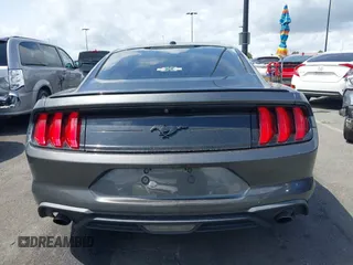 2019 Ford Mustang EcoBoost with VIN 1FA6P8TH6K5202441, listed as a IAAI auction lot 41896129 with 49,882 mi miles and . Bid and sale history available at carsss.com. Image 17.
