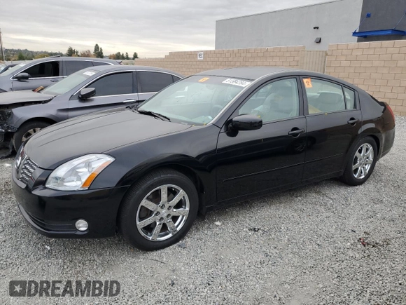 2004 Nissan Maxima SL with VIN 1N4BA41E24C924280, listed as a Copart auction lot 81564284 with 30,679 mi miles and Salvage Title. Bid and sale history available at DreamBid. Image 1.