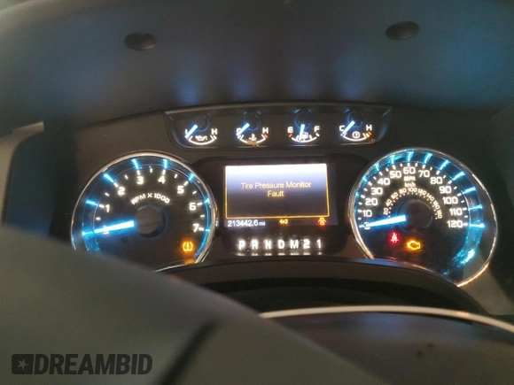 2012 Ford F-150 XL with VIN 1FTFX1EF7CFB32036, listed as a Copart auction lot 52019135 with 213,442 mi miles and Clean Title. Bid and sale history available at carsss.com. Image 9.