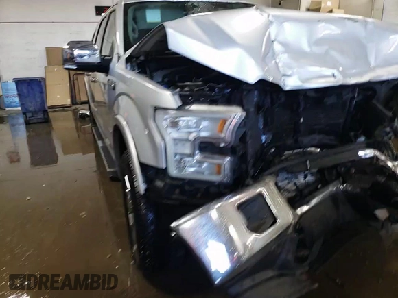 2017 Ford F-150 XL with VIN 1FTEW1EG0HKD67786, listed as a Copart auction lot 49093535 with 0 mi miles and Salvage Title. Bid and sale history available at carsss.com. Image 14.