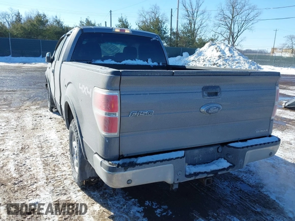 2014 Ford F-150 XL with VIN 1FTFX1EF1EKD34459, listed as a IAAI auction lot 41618872 with 166,468 mi miles. Bid and sale history available at carsss.com. Image 3.