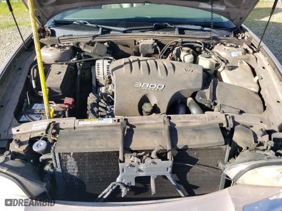 1999 Buick Park Avenue with VIN 1G4CW52K0X4617825, listed as a Copart auction lot 87412334 with 200356 miles and Salvage Title. Bid and sale history available at carsss.com. Image 11.